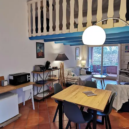Studio Mezzanine Climatise Proche Plage, 4 Pers, Terrasse Et Parking Gratuit - Fr-1-650-31 Appartement *